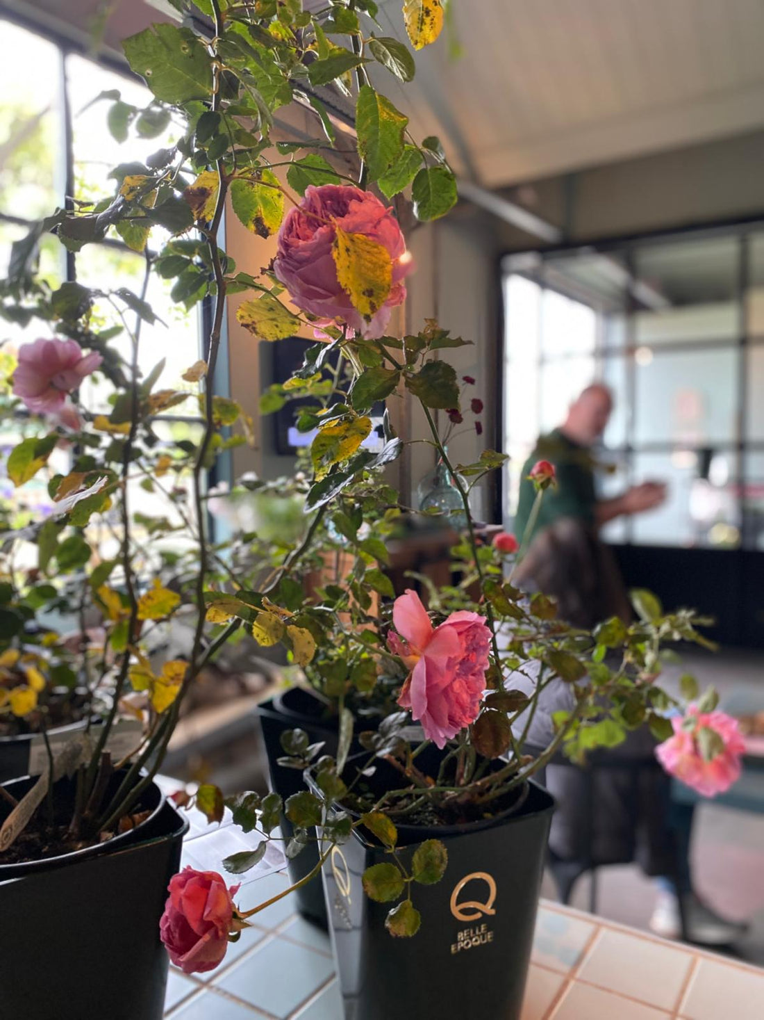 Snoeiworkshop voor groepen bij Belle Epoque