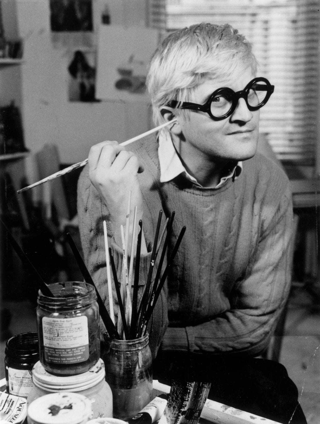 De roos David Hockney® – een kleurrijke klimroos met een artistiek verhaal