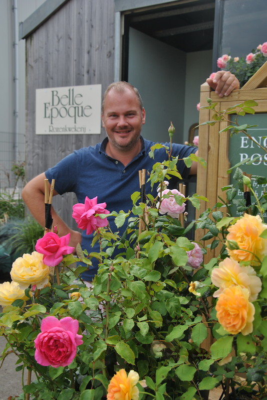Groepsrondleiding bij onze rozenkwekerij in Aalsmeer – Beleef Belle Epoque