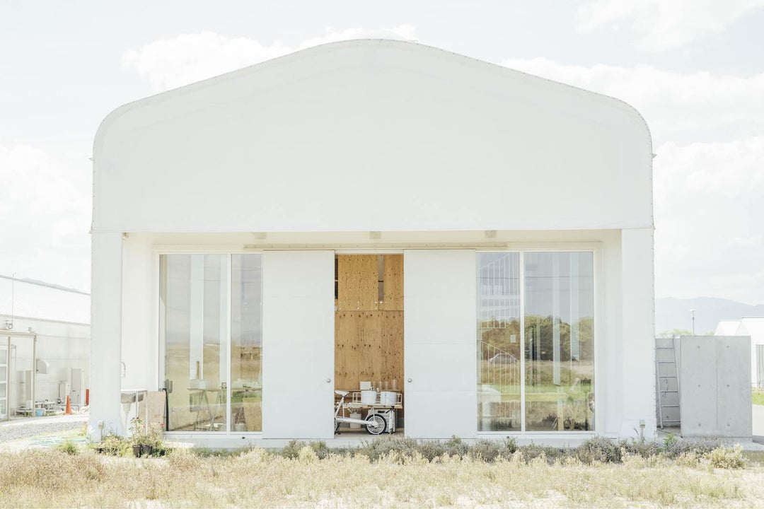 Introductie Japanse rozen van Wabara - Belle Epoque