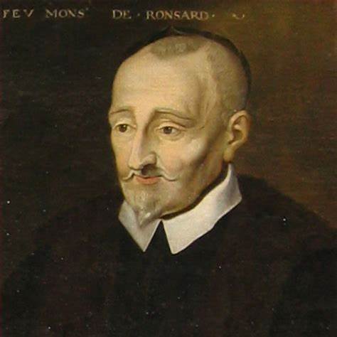 Klimroos met een bijzonder verhaal: Pierre de Ronsard: de prins der dichters - Belle Epoque