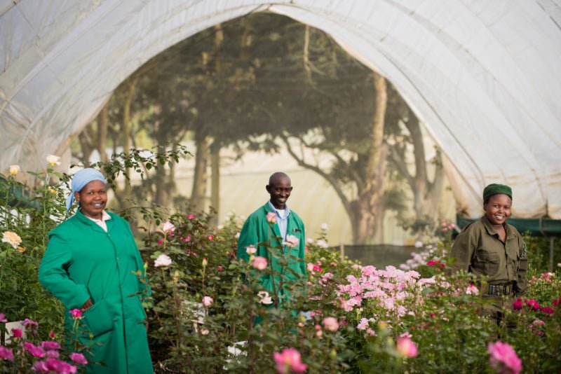 Rozen uit Afrika? Ontdek de Samenwerking tussen Belle Epoque en Tambuzi - Belle Epoque