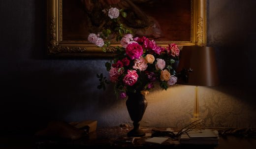 Rozenkwekerij Belle Epoque brengt rozen van oude meesters terug - Belle Epoque
