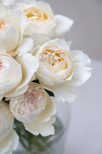 Yves Piaget Cream