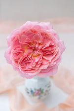 Romantic Antike