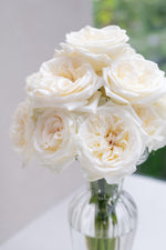 White O'Hara