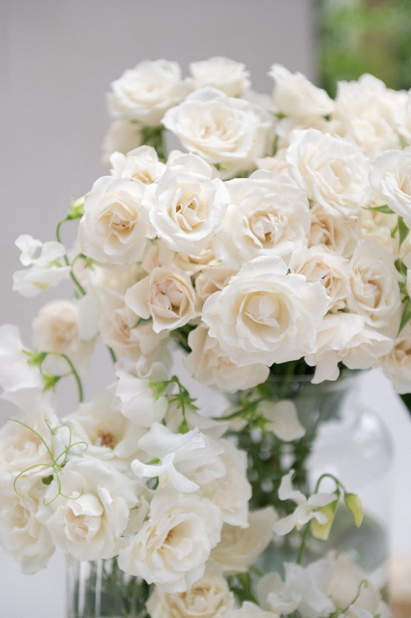 Majolica White