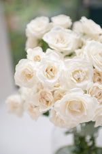 Majolica White
