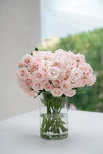 Majolica Pink