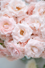 Majolica Pink