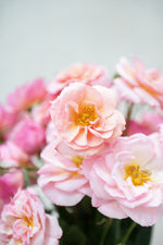 Scented Whisper