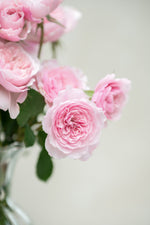 Sweet Antike