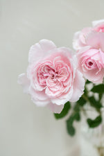 Sweet Antike