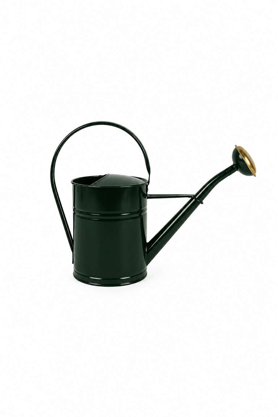 Green galvanized 2-liter watering can