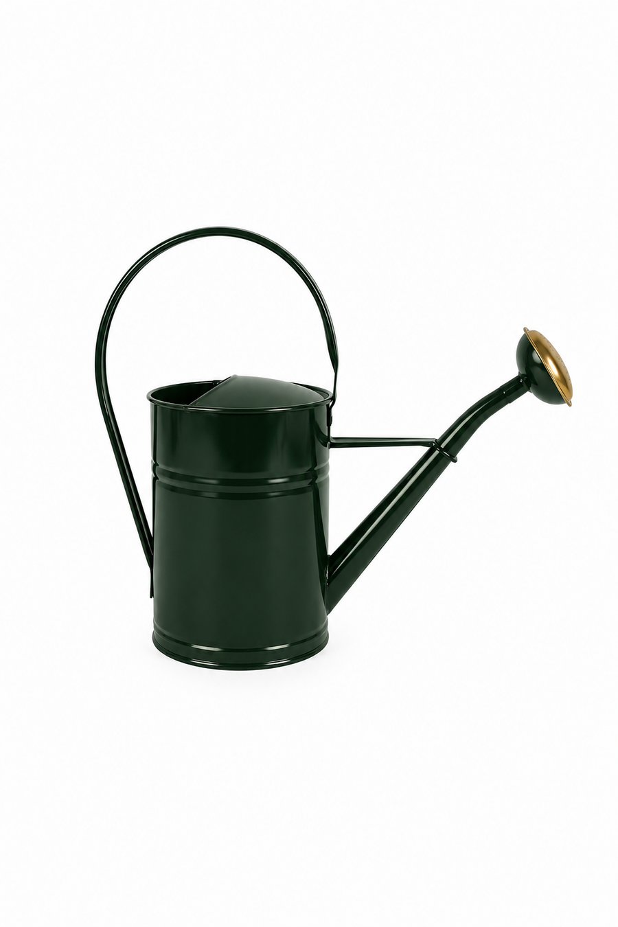 Watering Can 5 Liter Galvanized Green
