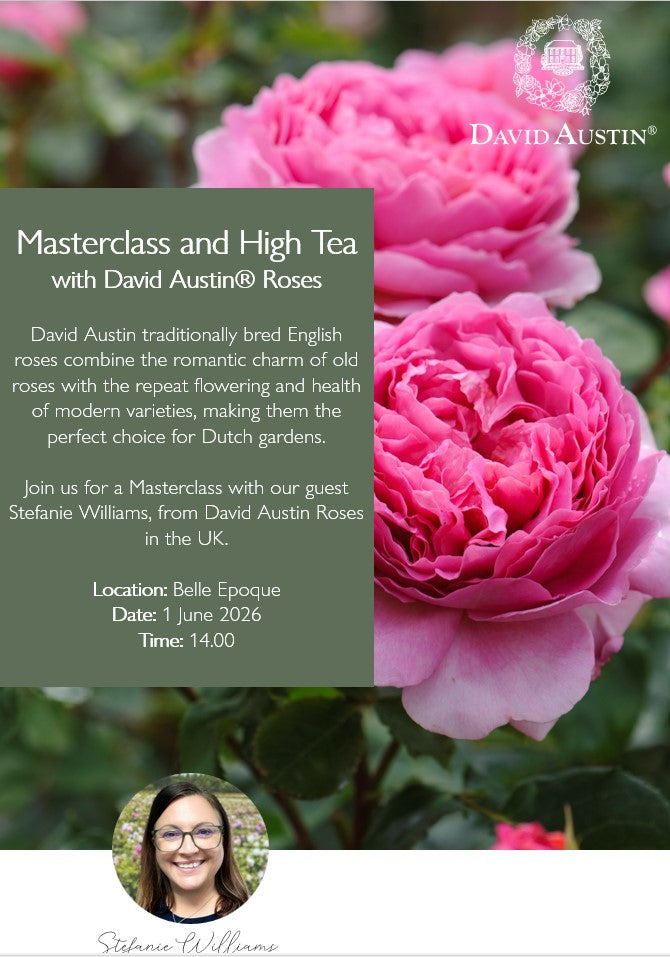 Masterclass and High Tea with David Austin Roses (English) | June 1 | 2:00 PM