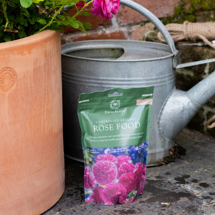 Food for roses: David Austin rose food