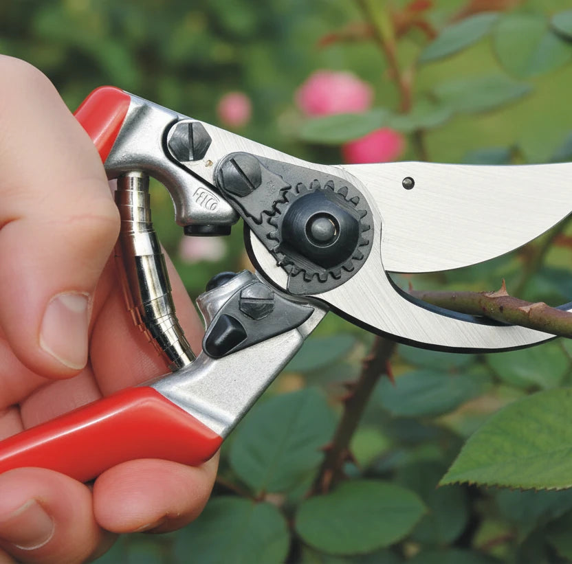 Professional Pruning Shears Felco (Left-handed)