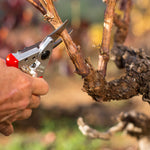 Professional Pruning Shears Felco Size S (6)