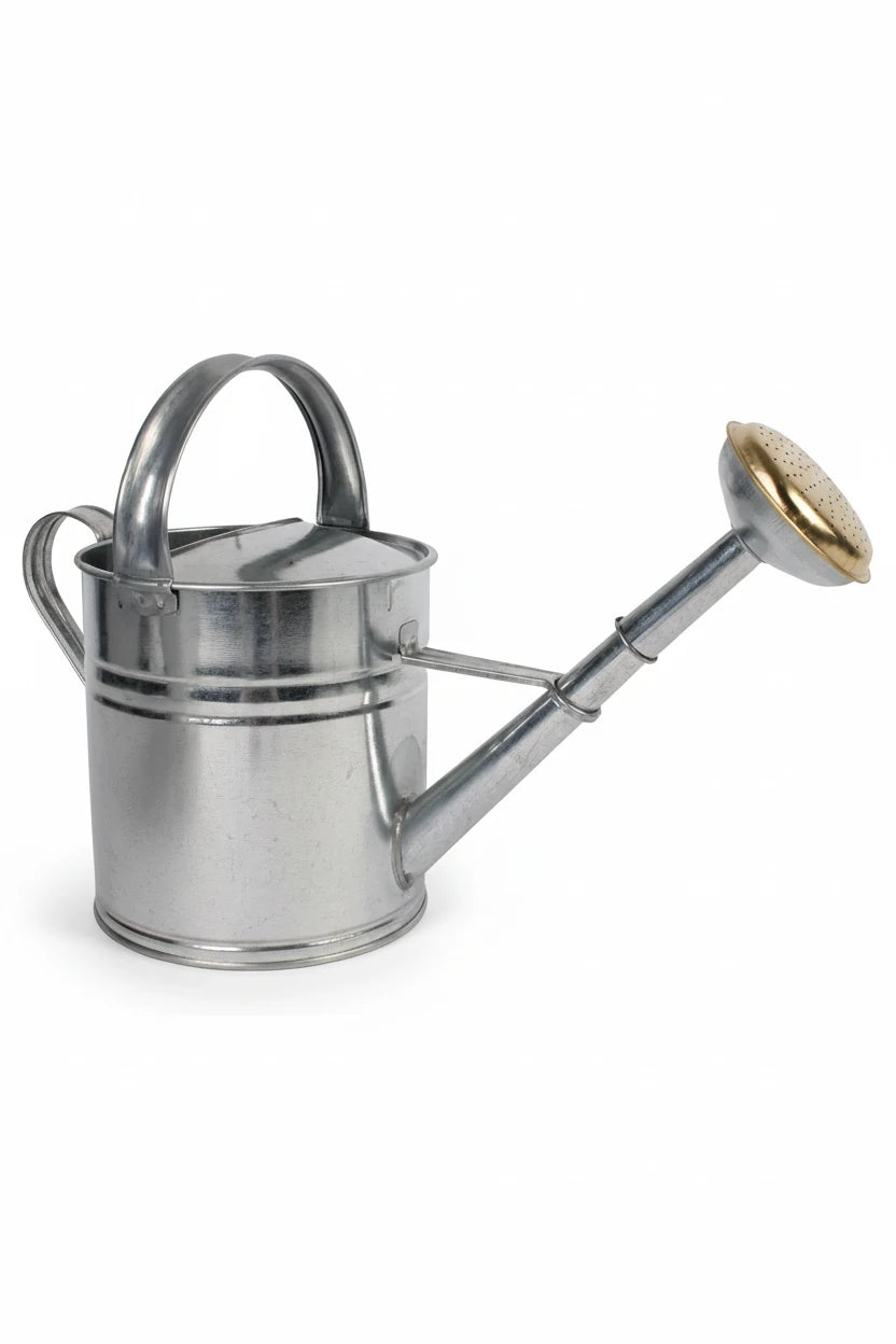 Watering can 5 liter galvanized