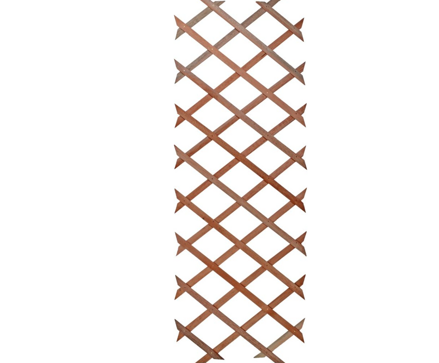 Wooden climbing frame for roses