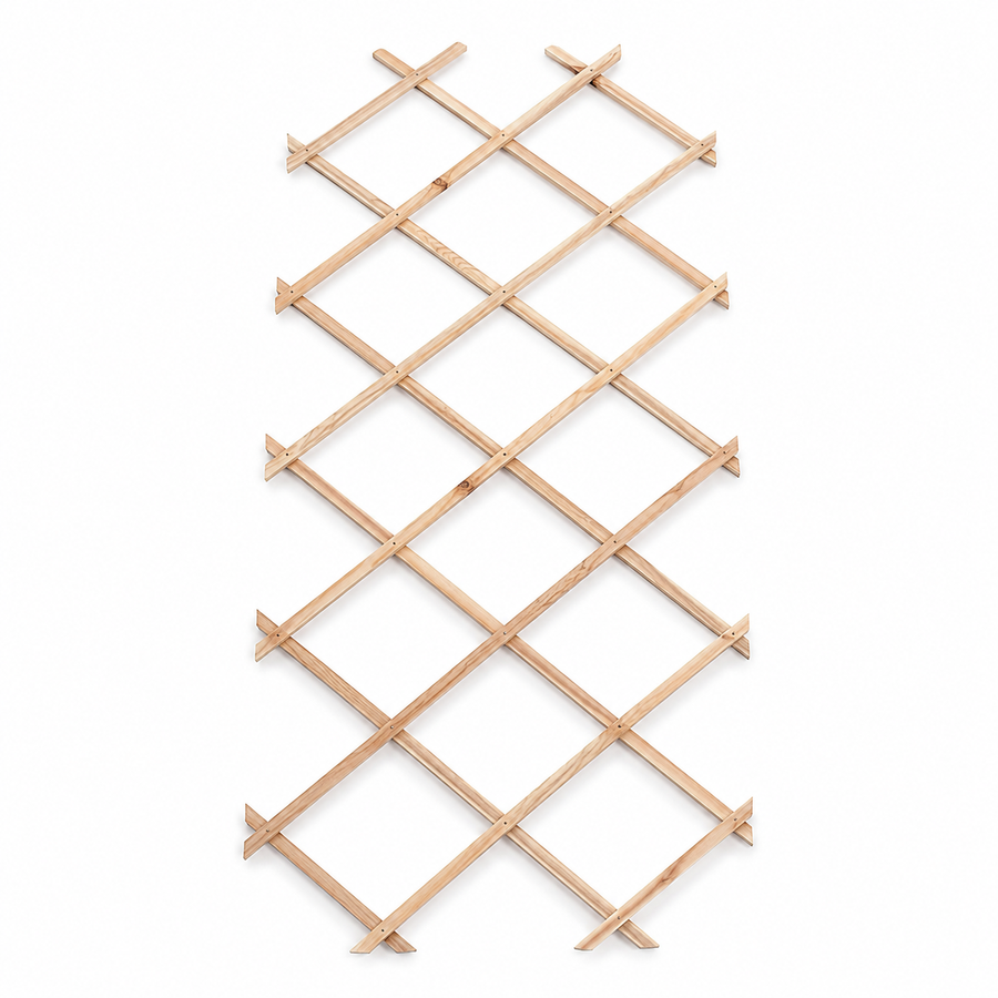 Wooden climbing frame for roses