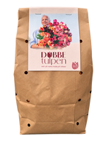 Dobbe Tulip Mix – 50 hand-selected tulip bulbs