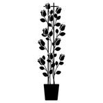 Zéphirine Drouhin (XL Klimroos)