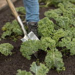 Dutch Garden Medium Shovel