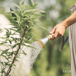 Metal flower sprayer – gentle and targeted watering for roses