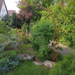 Rose Arch Classic