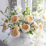 David Austin Beatrice (12 pieces)