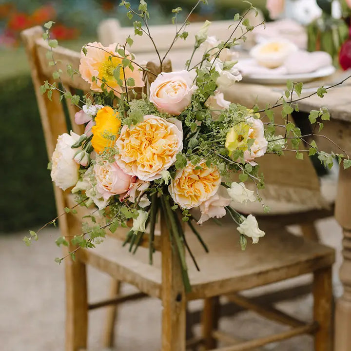 David Austin Beatrice (12 pieces)