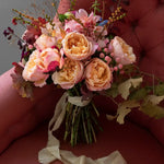 David Austin Edith (12 pieces)