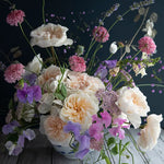 David Austin Eugenie (12 pieces)
