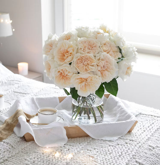 David Austin Eugenie (12 pieces)