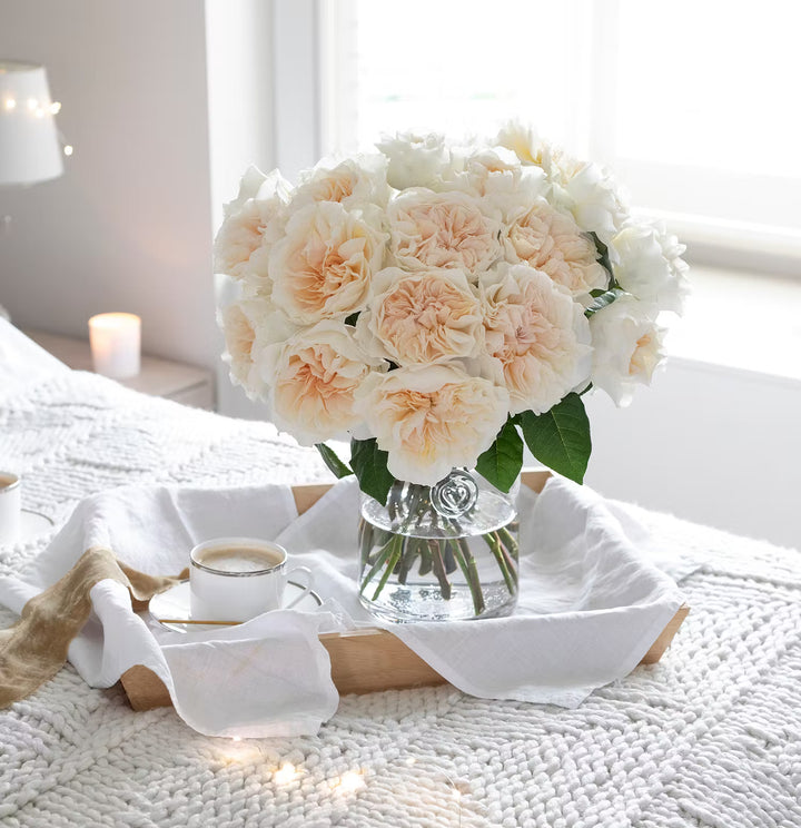 David Austin Eugenie (12 pieces)