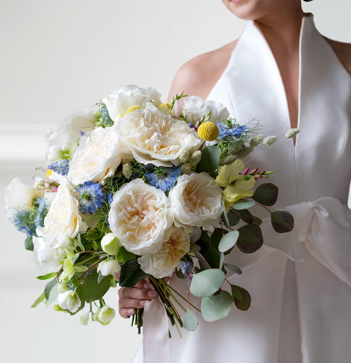 David Austin Eugenie (12 pieces)