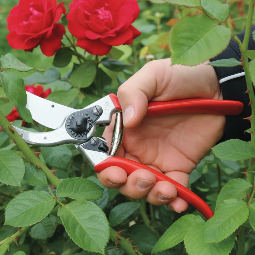 Professional pruning shears Felco Size L (2)