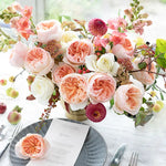 David Austin Juliet
