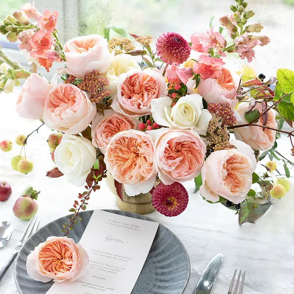 David Austin Juliet